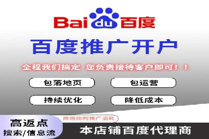 SEM广告投放的创意与执行：成功案例剖析